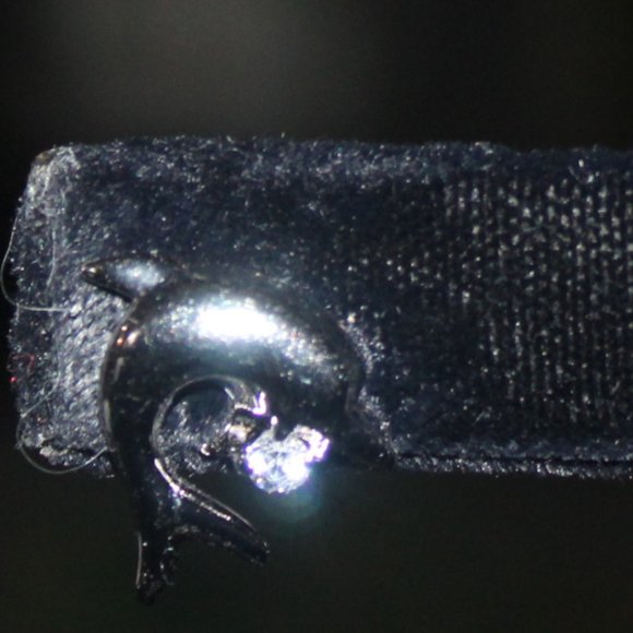 Silver Dolphin earrings with Rhinestone (cute) - Picture 5 of 6